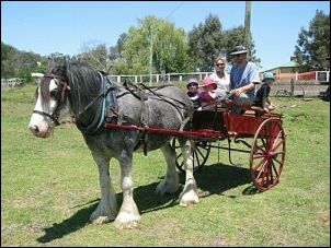 David Lowe with Kirkby family and Lachlan the Clydesdale, 2003, photo Mark Kirkby