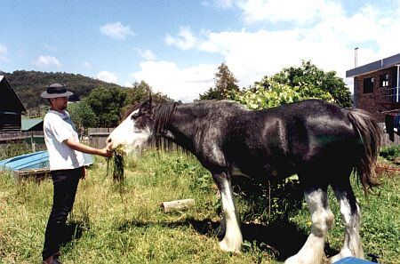 David feeding Lachlan, photo Jane Foggon