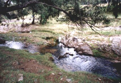 pic 5