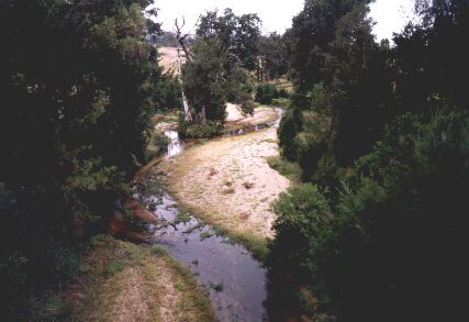 pic 8