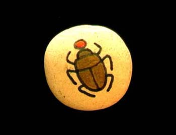 scarab